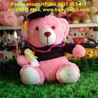 jual boneka-bear-pink-wisuda